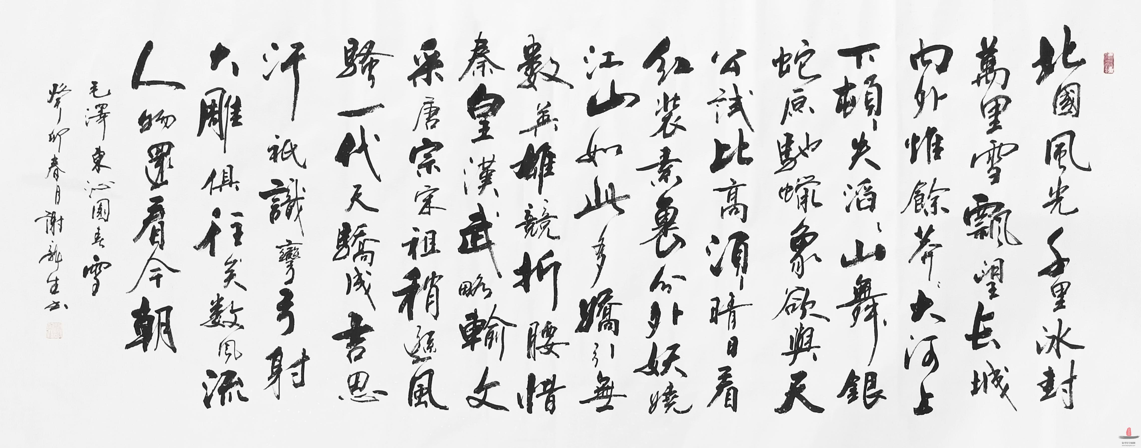 谢龙生 书法《沁园春·雪》